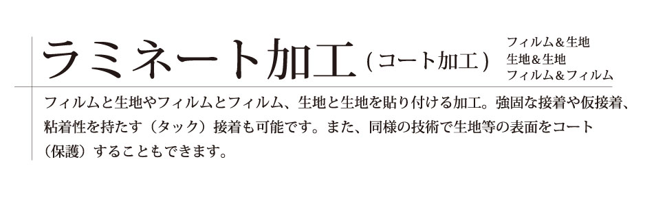 ~l[g̐ʐ^