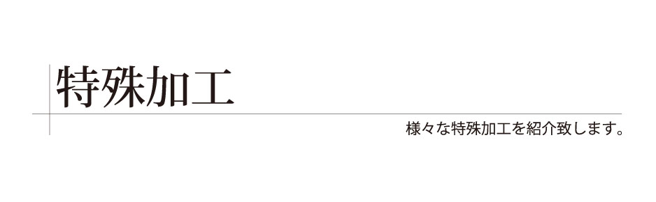 ʐ^